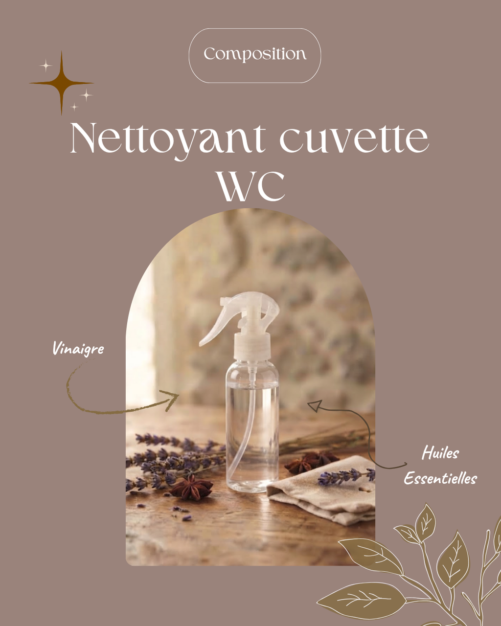 Spray Vitres & Miroirs