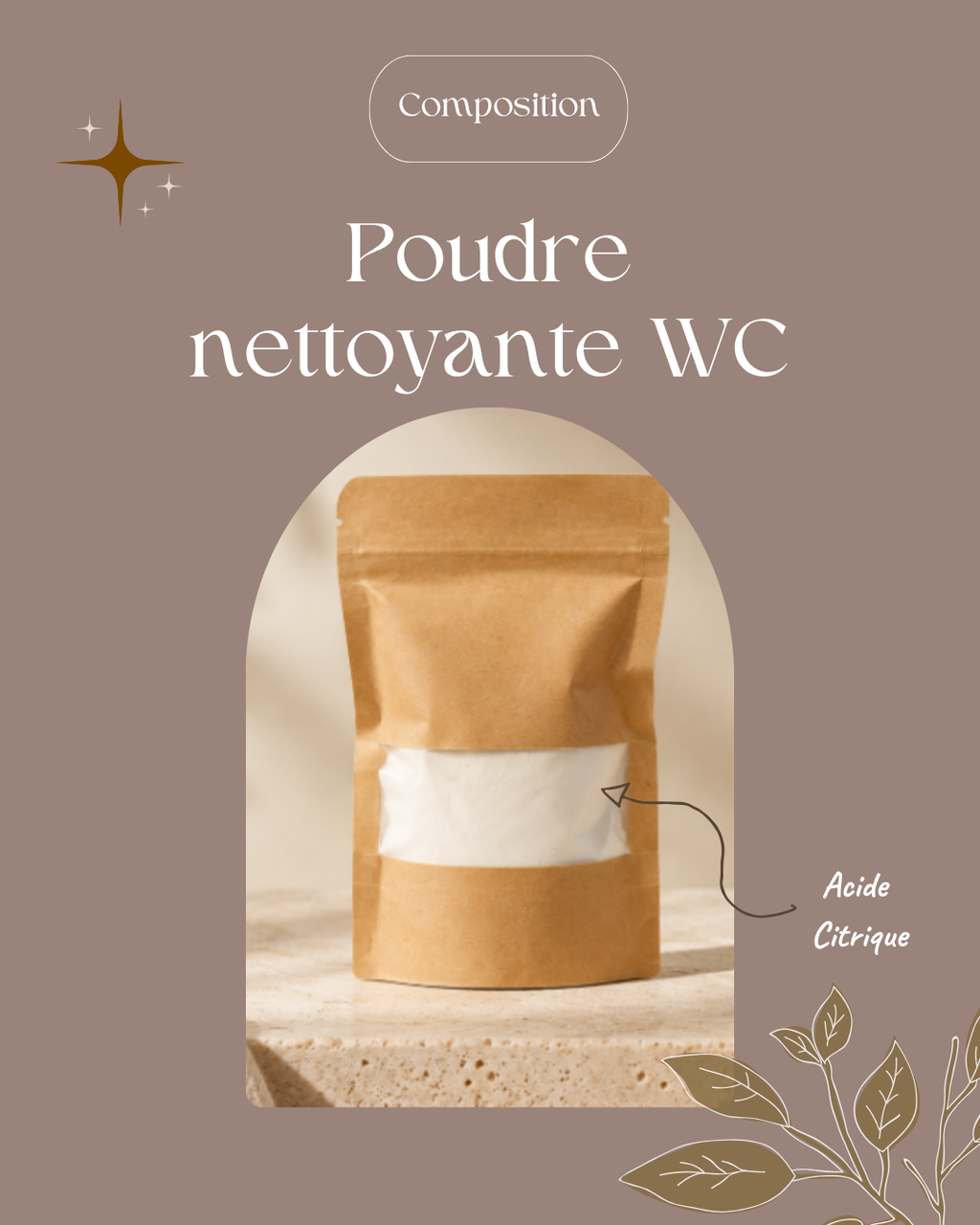 Poudre Nettoyante Brosse WC & Fond de Cuvette