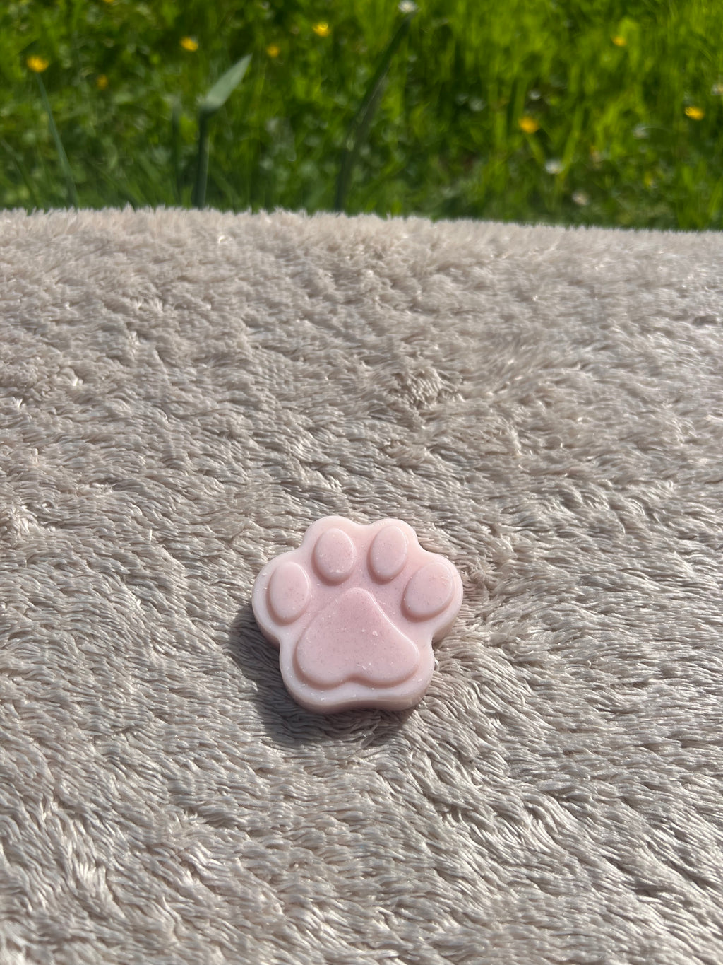 Fondants formes de pattes
