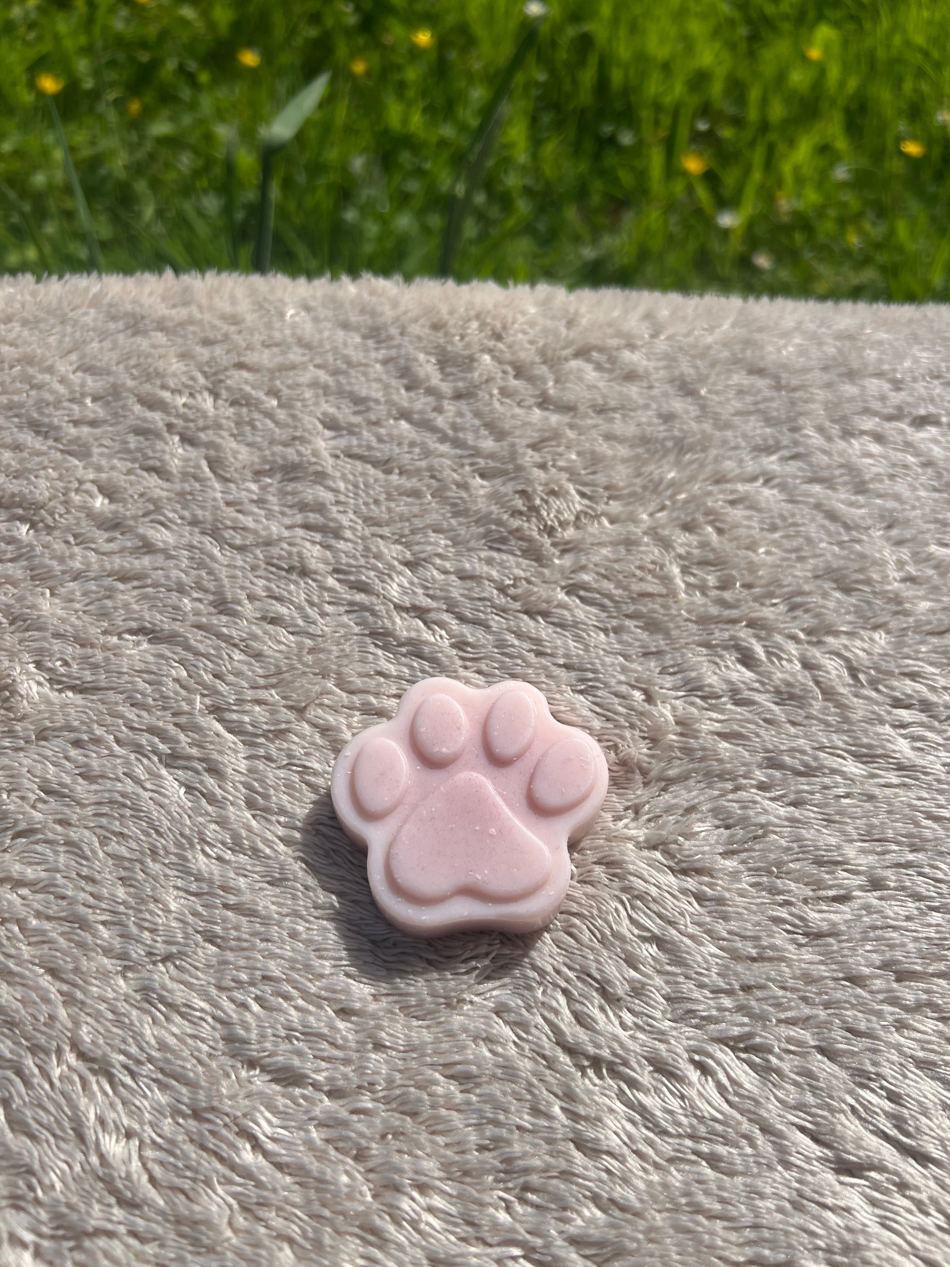 Fondants formes de pattes
