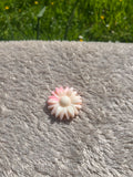 Fondants Fleur / Palmier